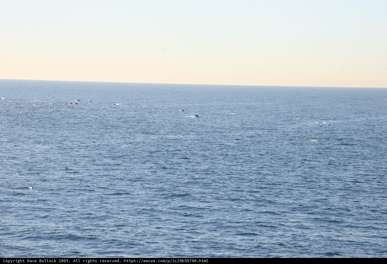 Flight Over the Open Sea