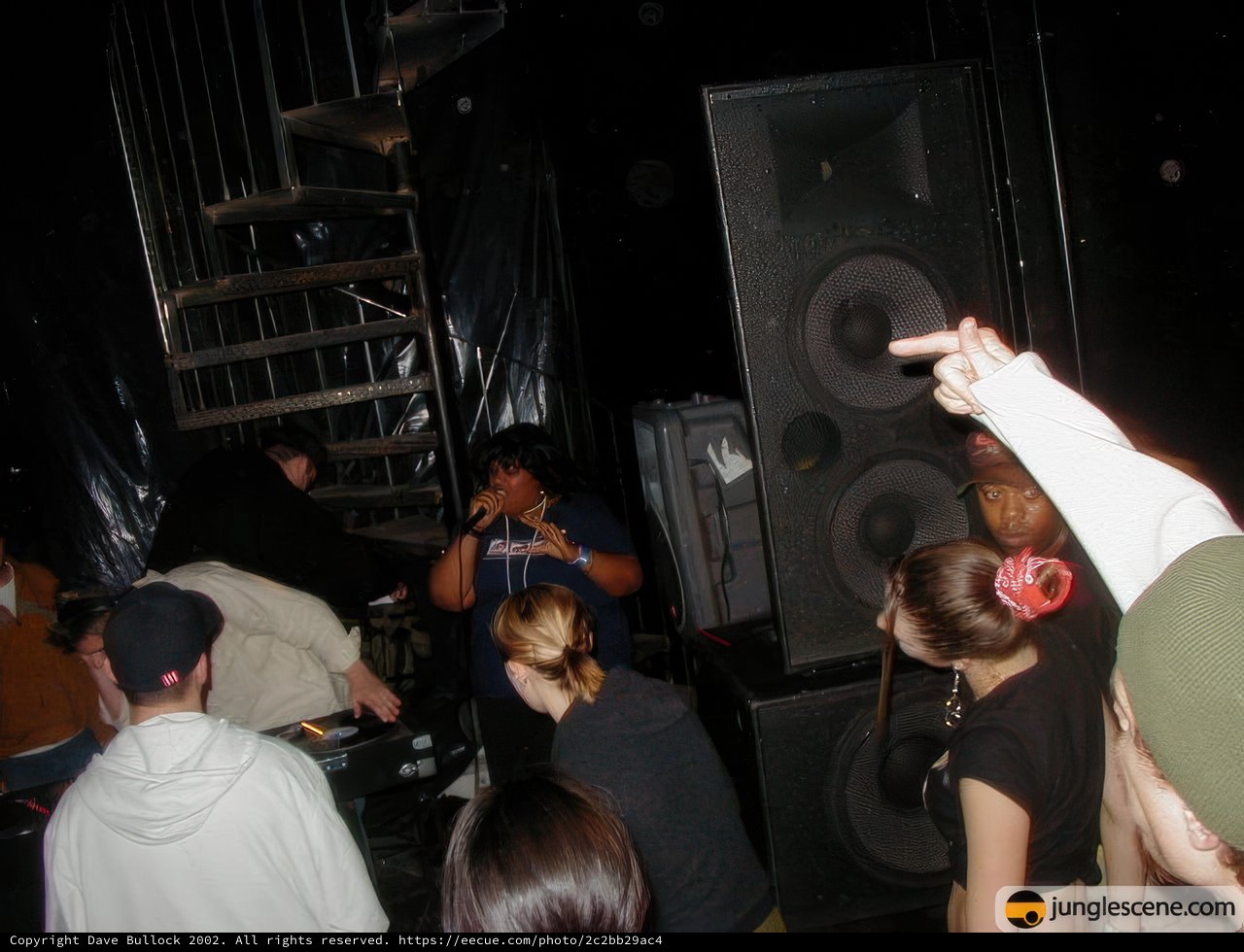 Electrifying Music at a Nightclub
