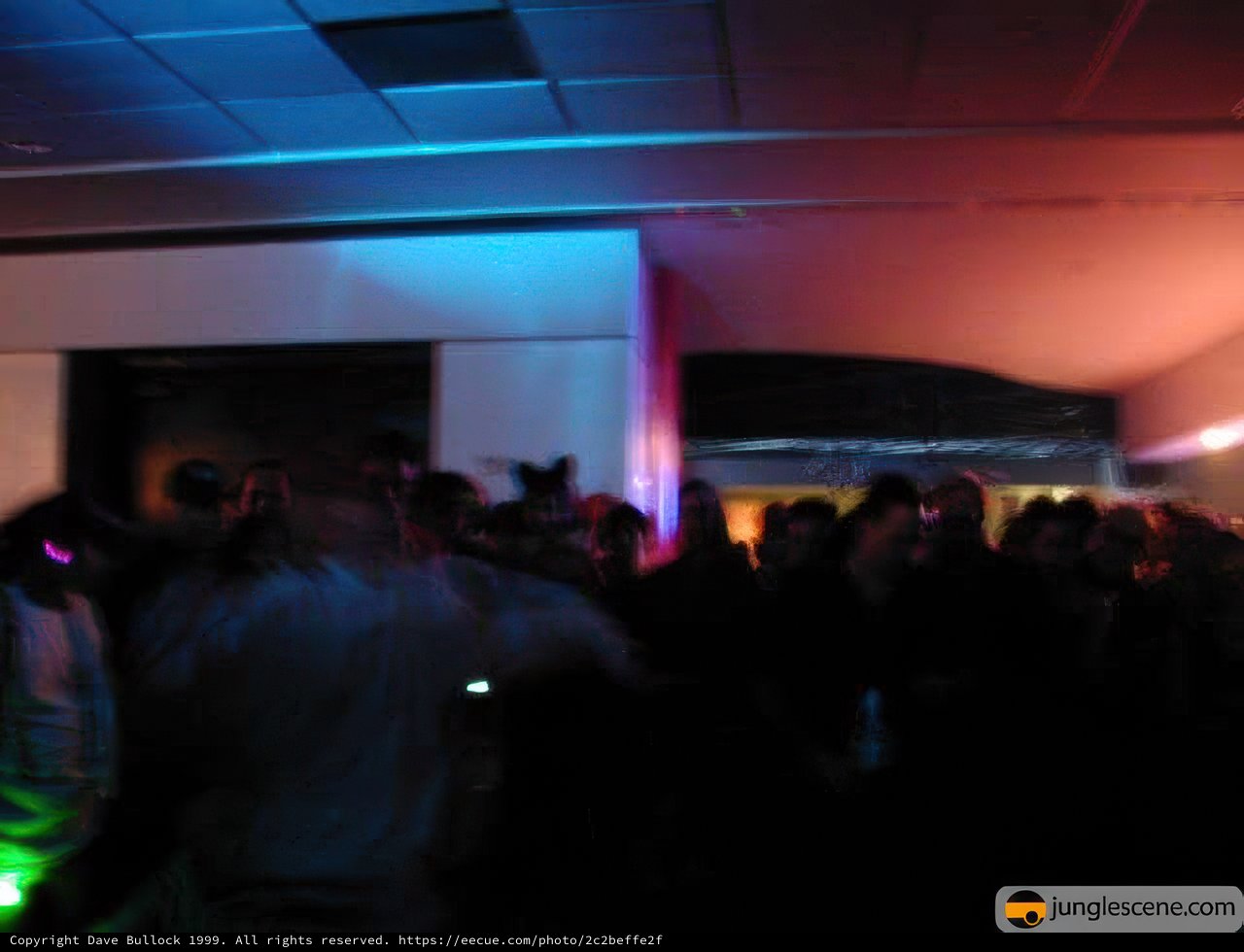 Nightclub Partygoers
