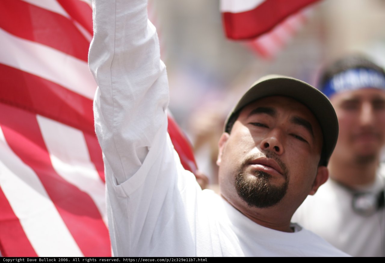 Patriotic Protester