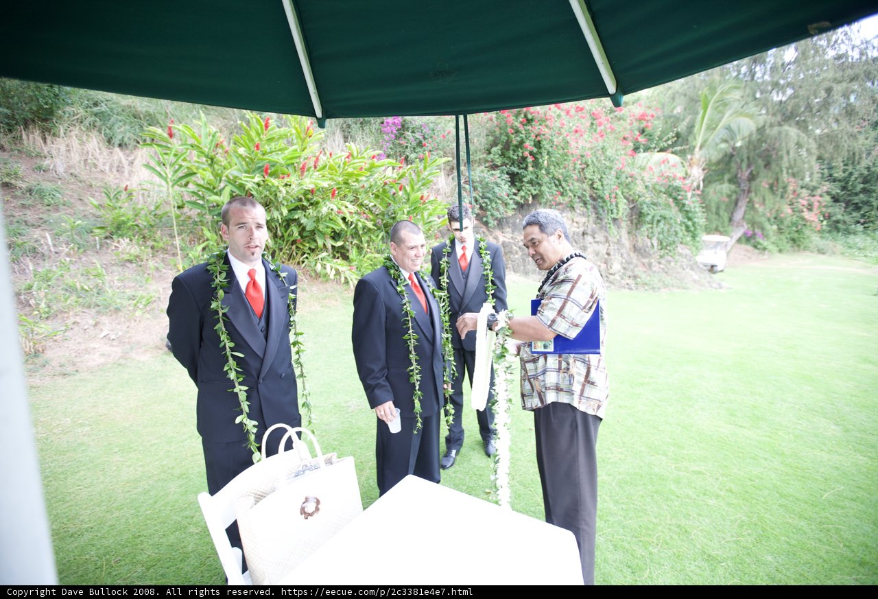 Kapiolani Park Wedding: Mark and Aaron's Formal Outdoor Nuptials