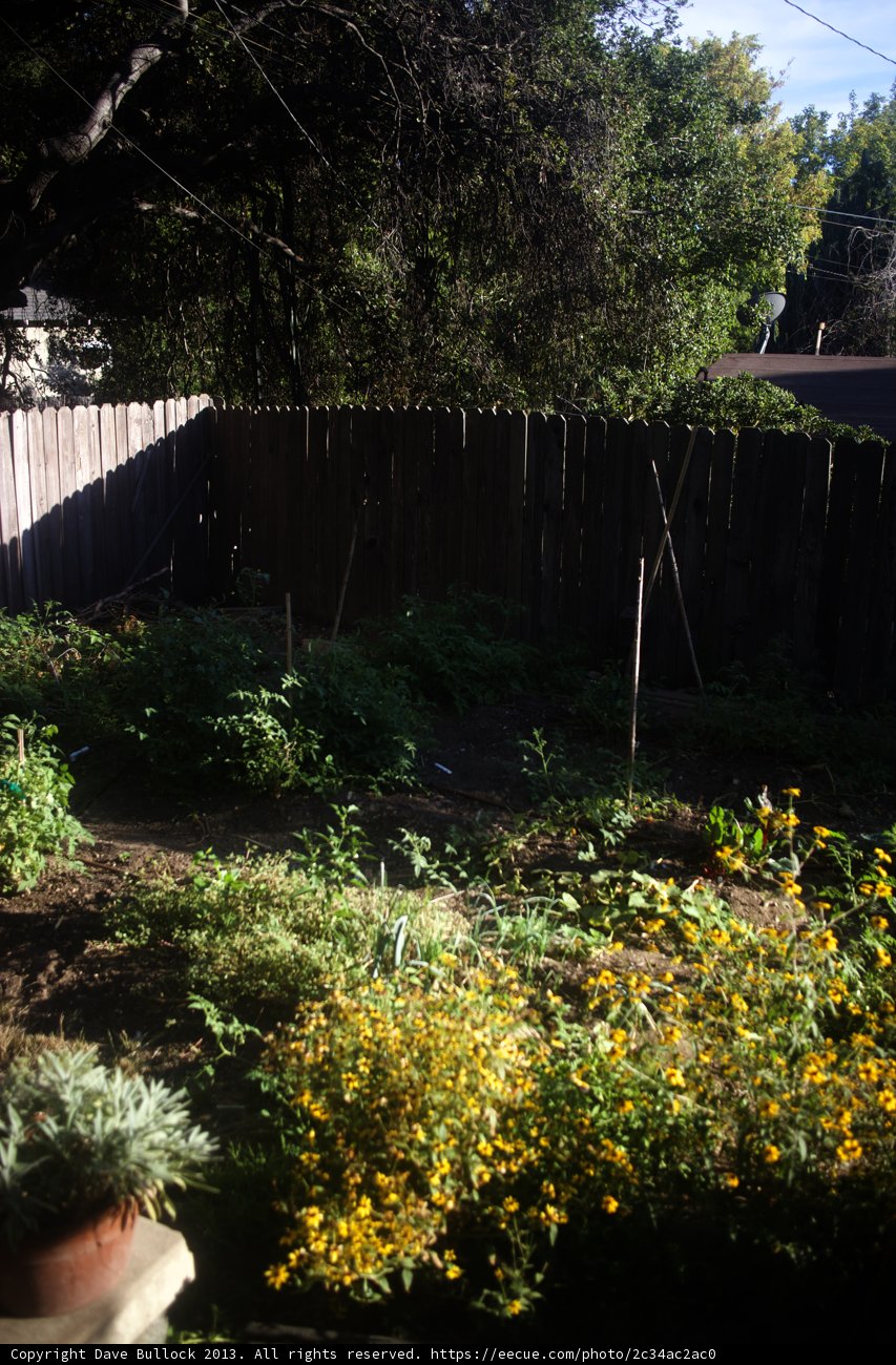 Garden Fence