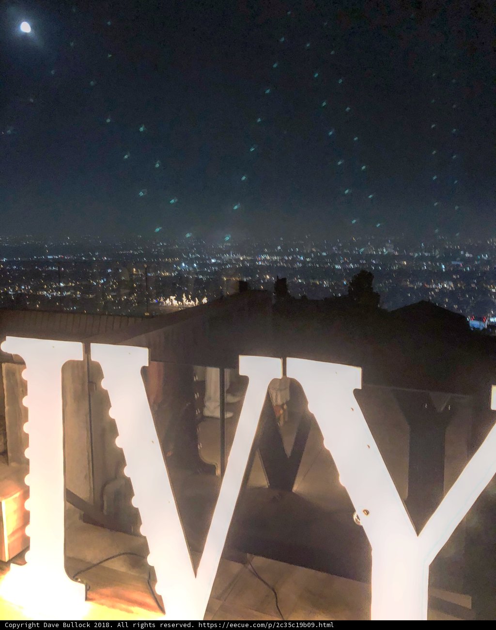 Vivid Viv