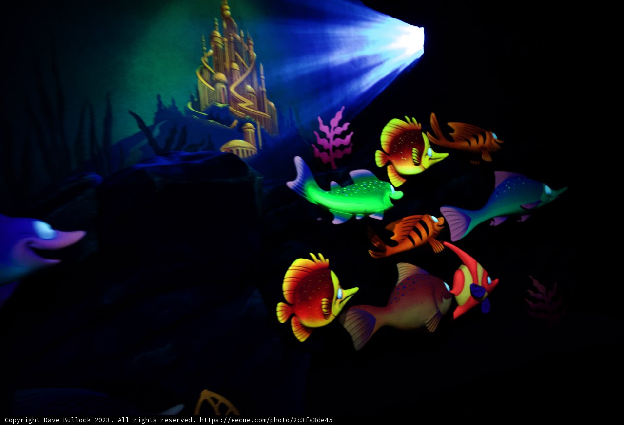 Magical Underwater Adventure