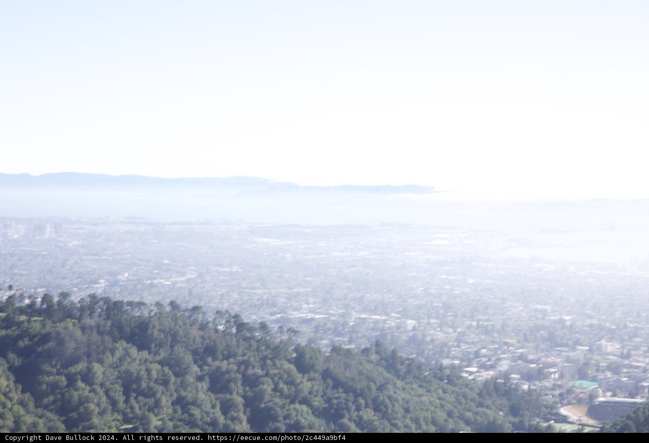 Mist Over the Metropolis