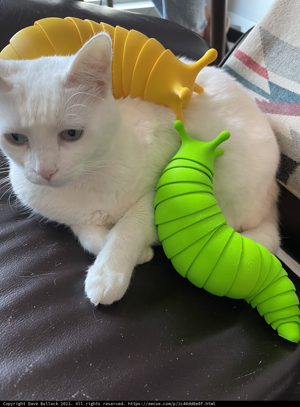 The White Cat's Banana Adventure