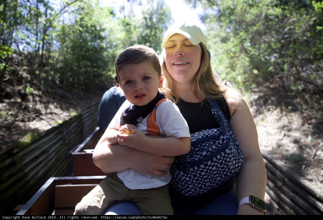 Sunny Afternoon in Walnut Creek