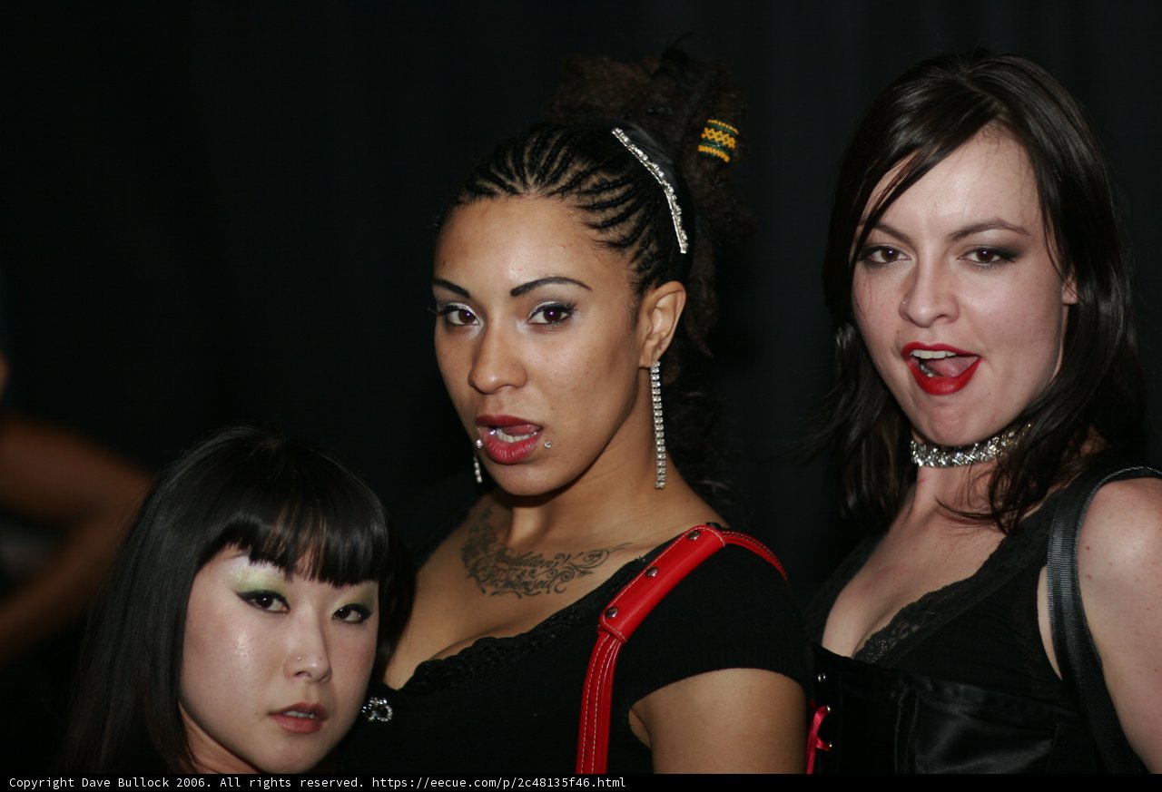 Three Women Strike a Pose for the Camera