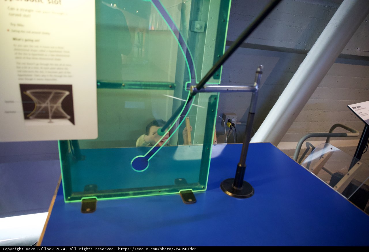 The Fusion of Art and Science in 2024