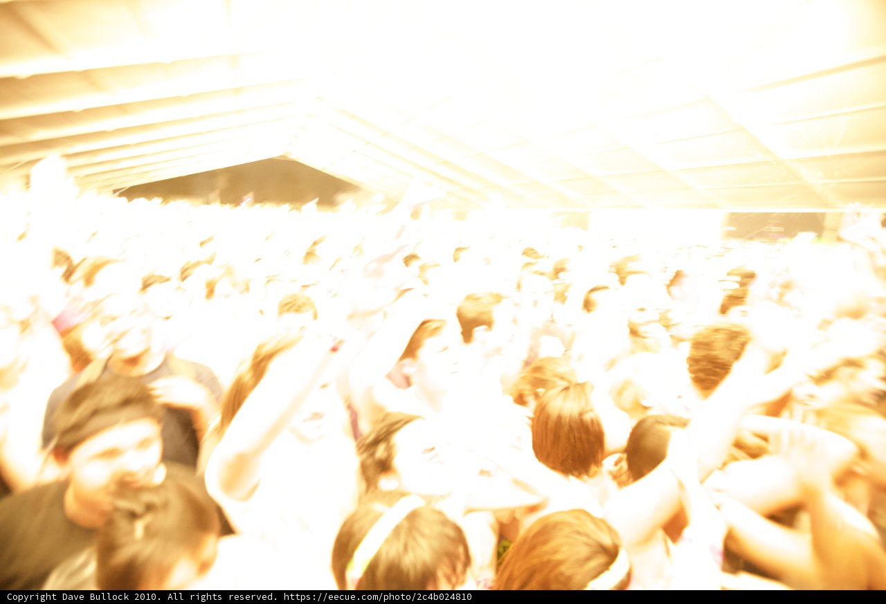 Coachella Crowd Goes Wild