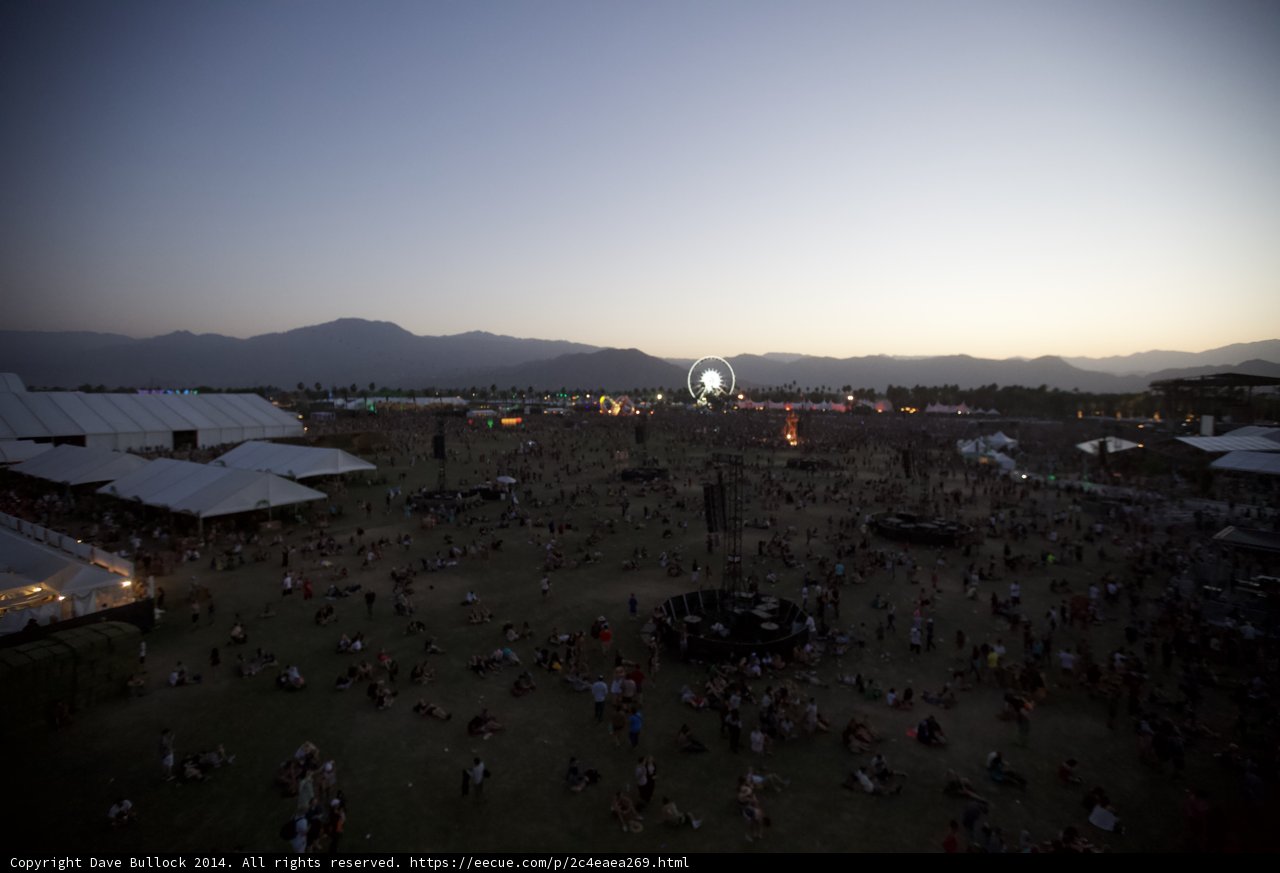 Festival Frenzy