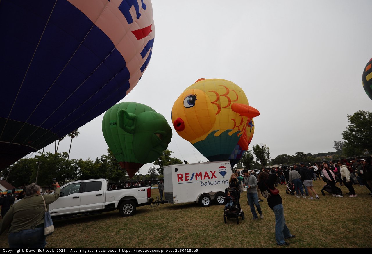 Colorful Hot Air Balloons Fill the Sky at Festival