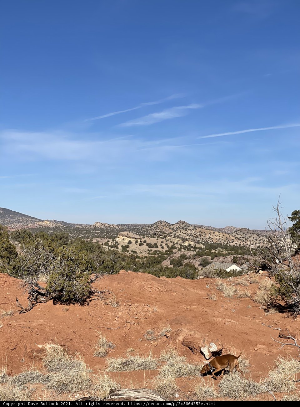 Red Rock Wilderness Adventure