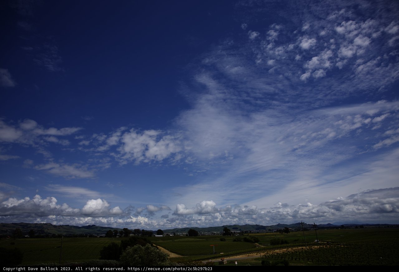 Serene Afternoon at Bouchaine Vineyards