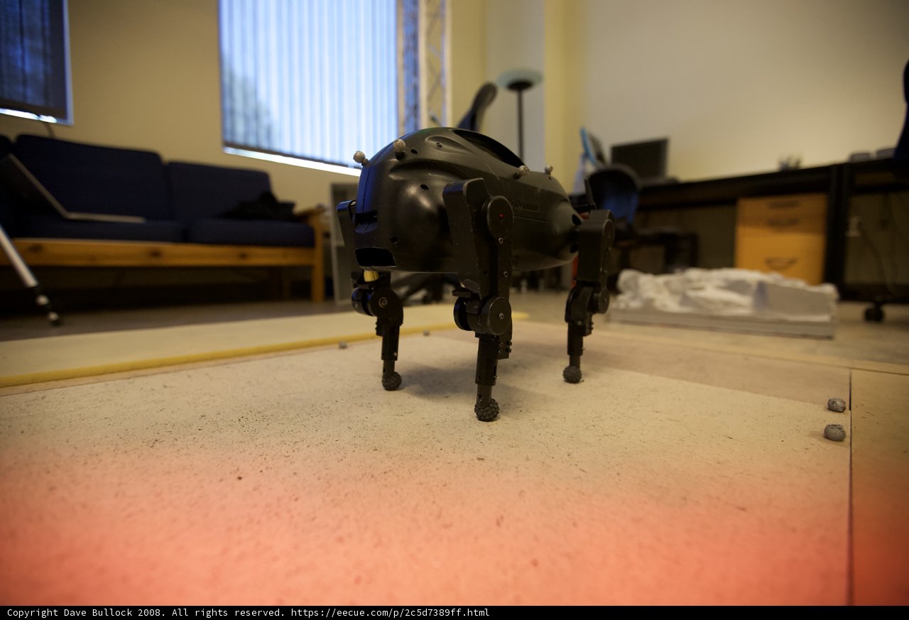 Robotic Canine Companion