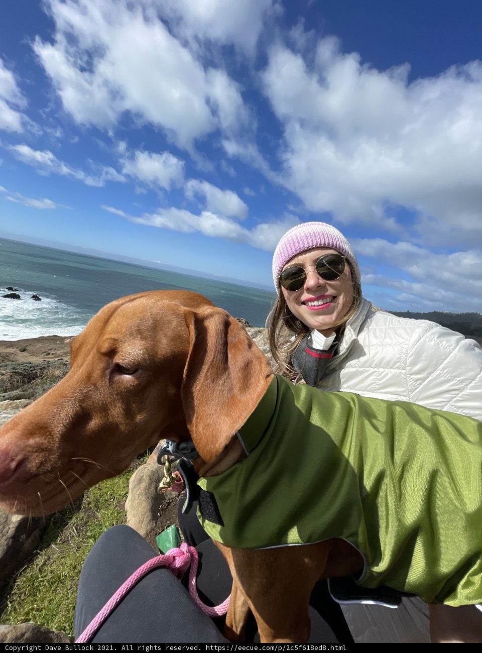 A Woman and Her Four-Legged Friend Overlooking the Pacific