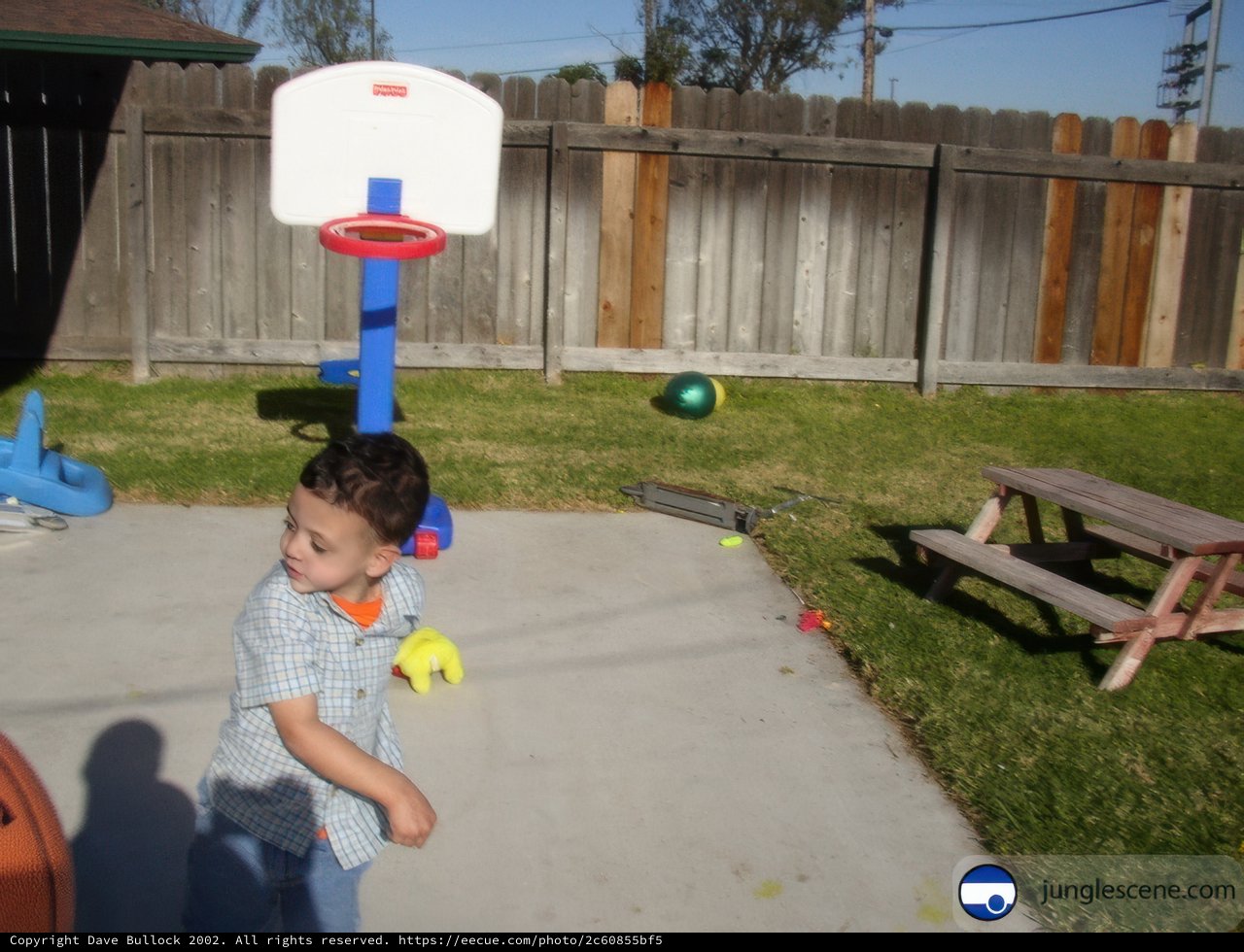 Backyard Basketball Fun
