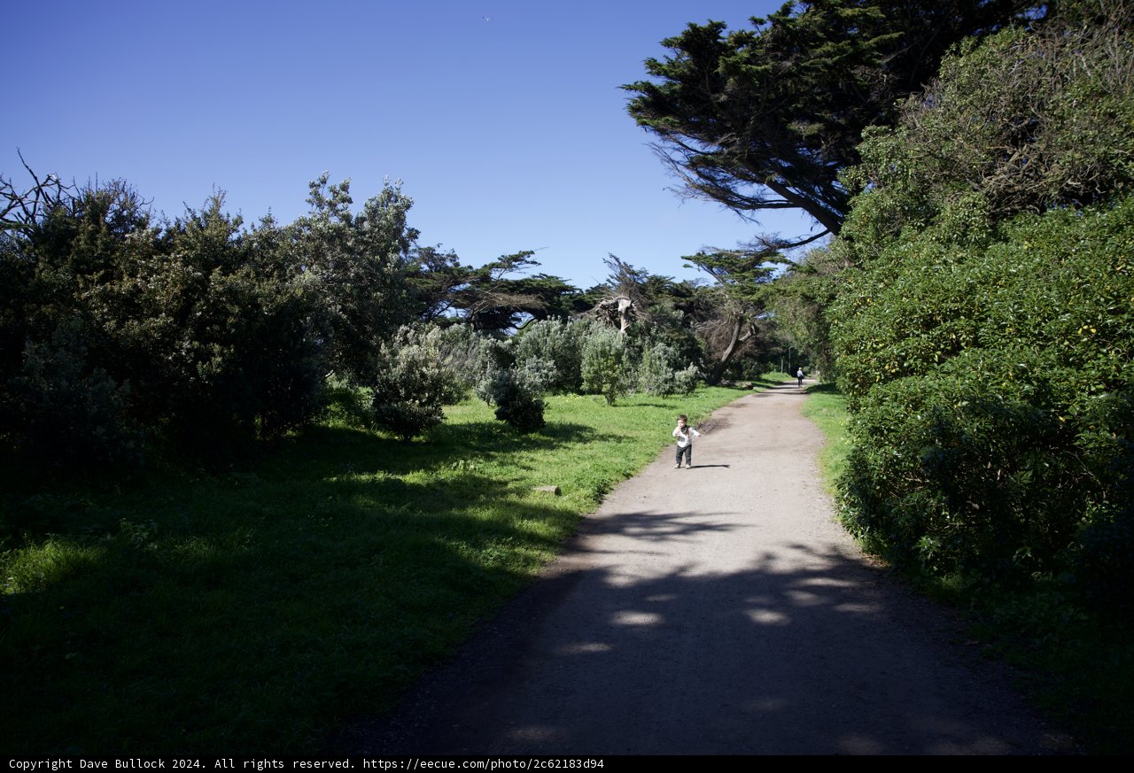 A Tranquil Ride through Golden Gate Park