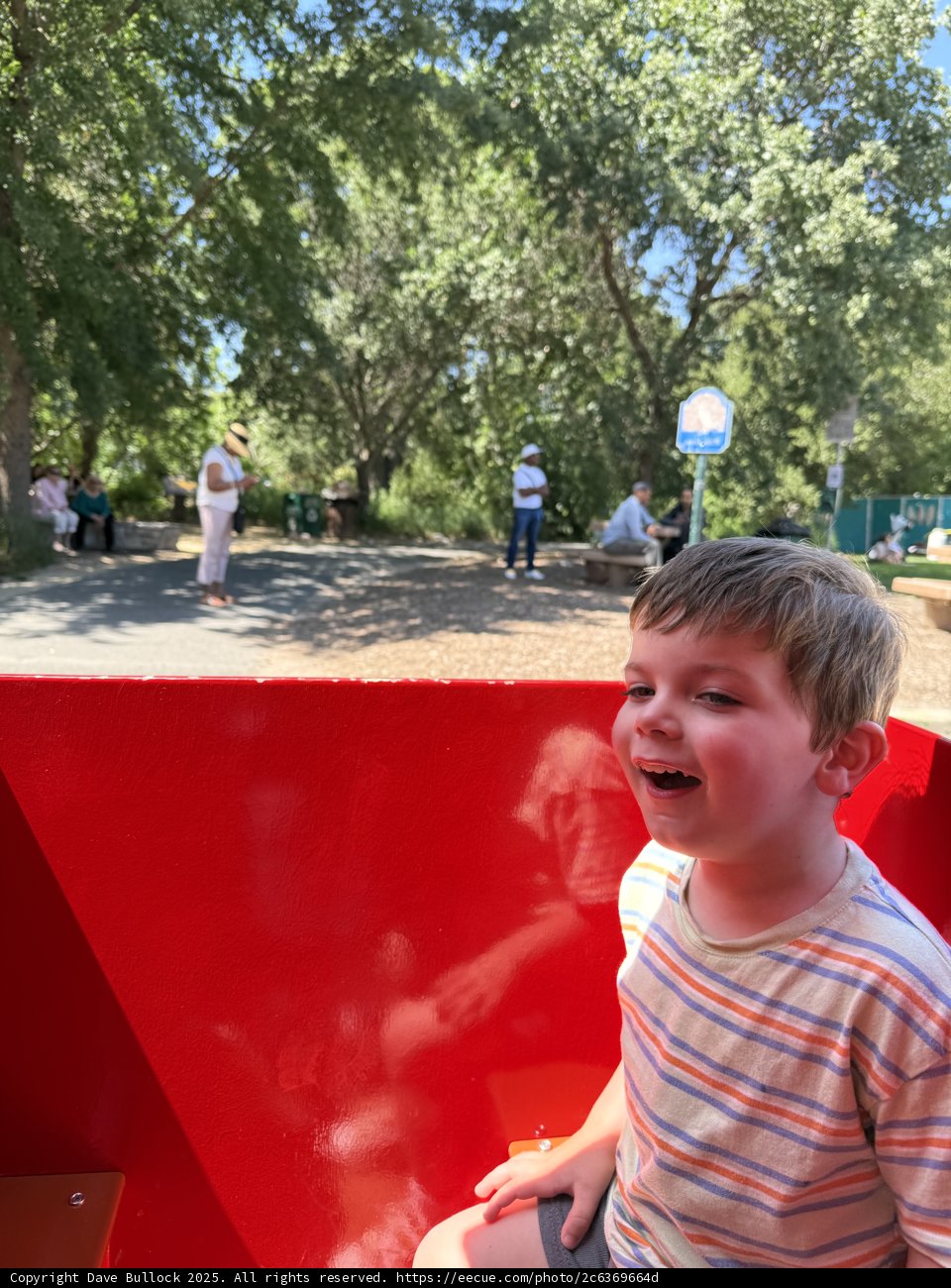 Joyful Summer Play