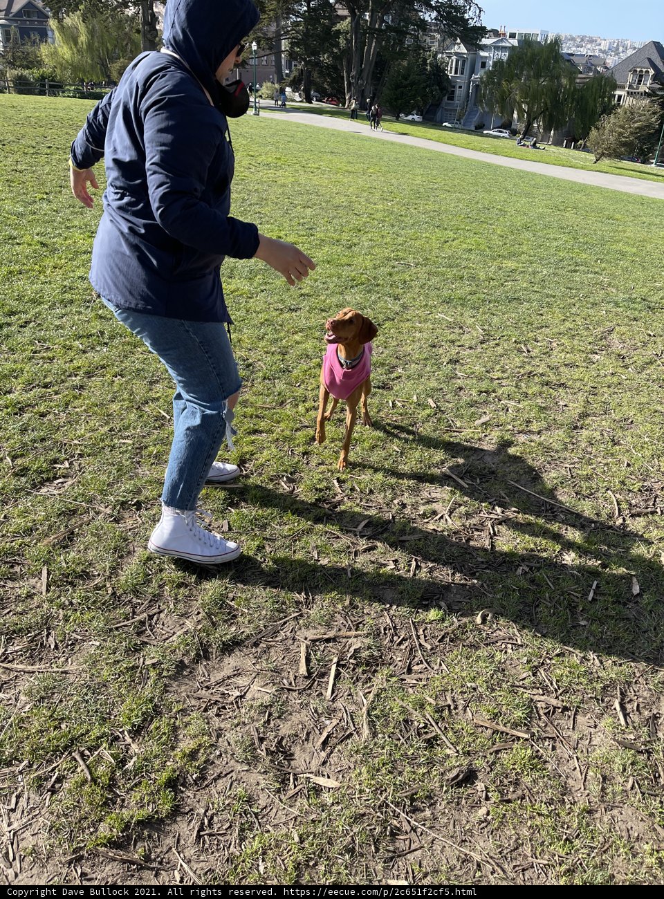 Happy playtime at Alamo Square