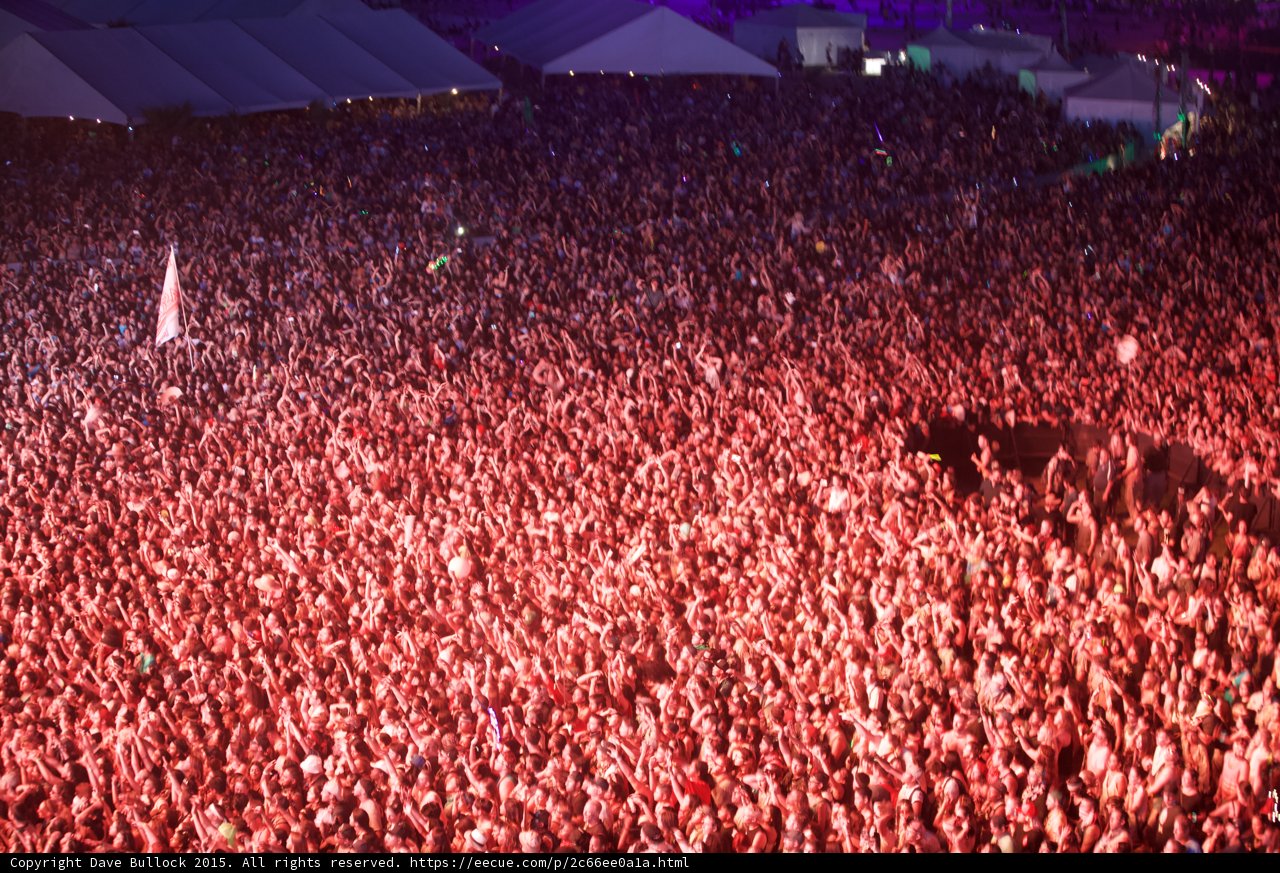 Rocking with the Crowd