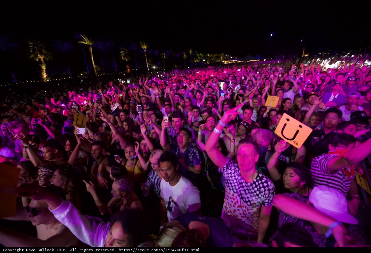Euphoric Crowd at Coachella