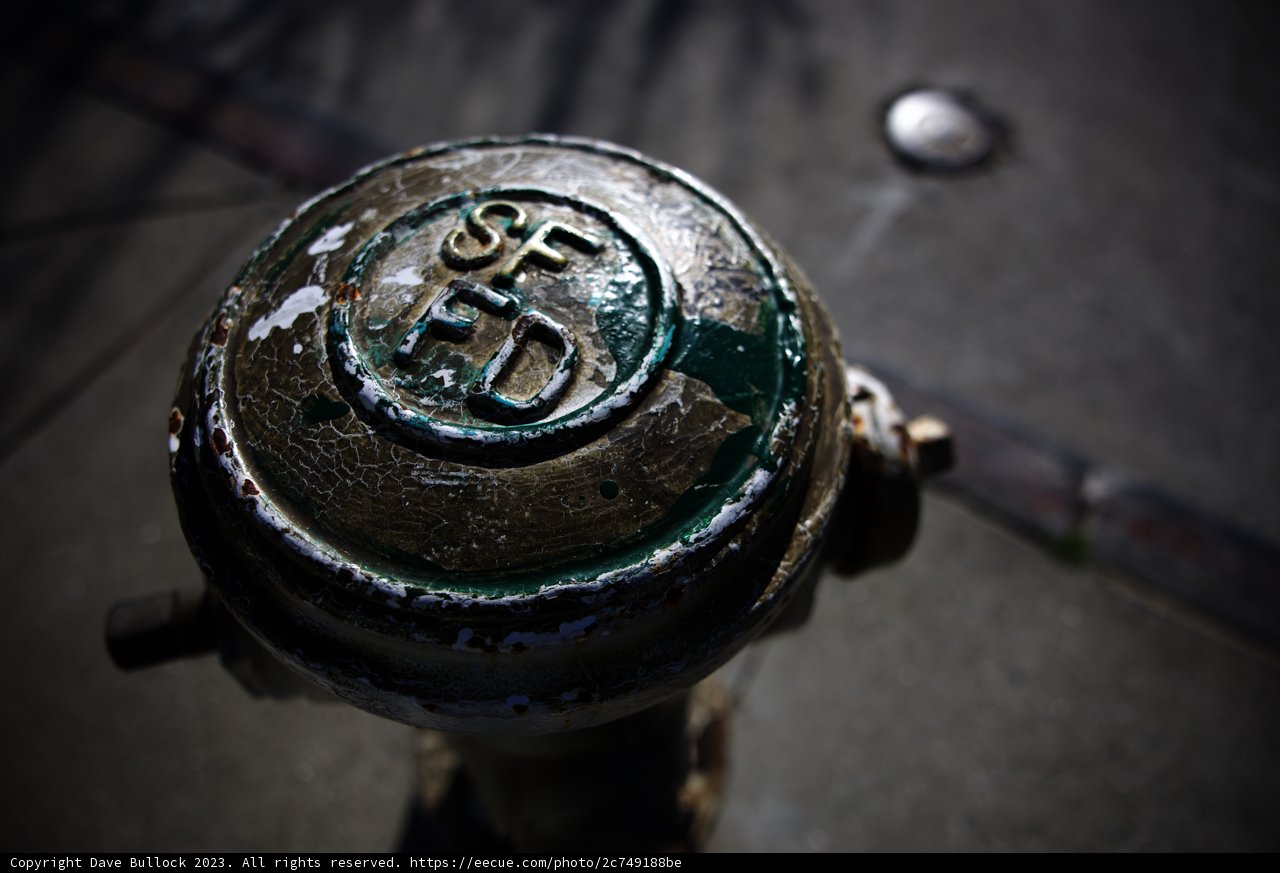 The Artistic Hydrant of Cerebral Valley