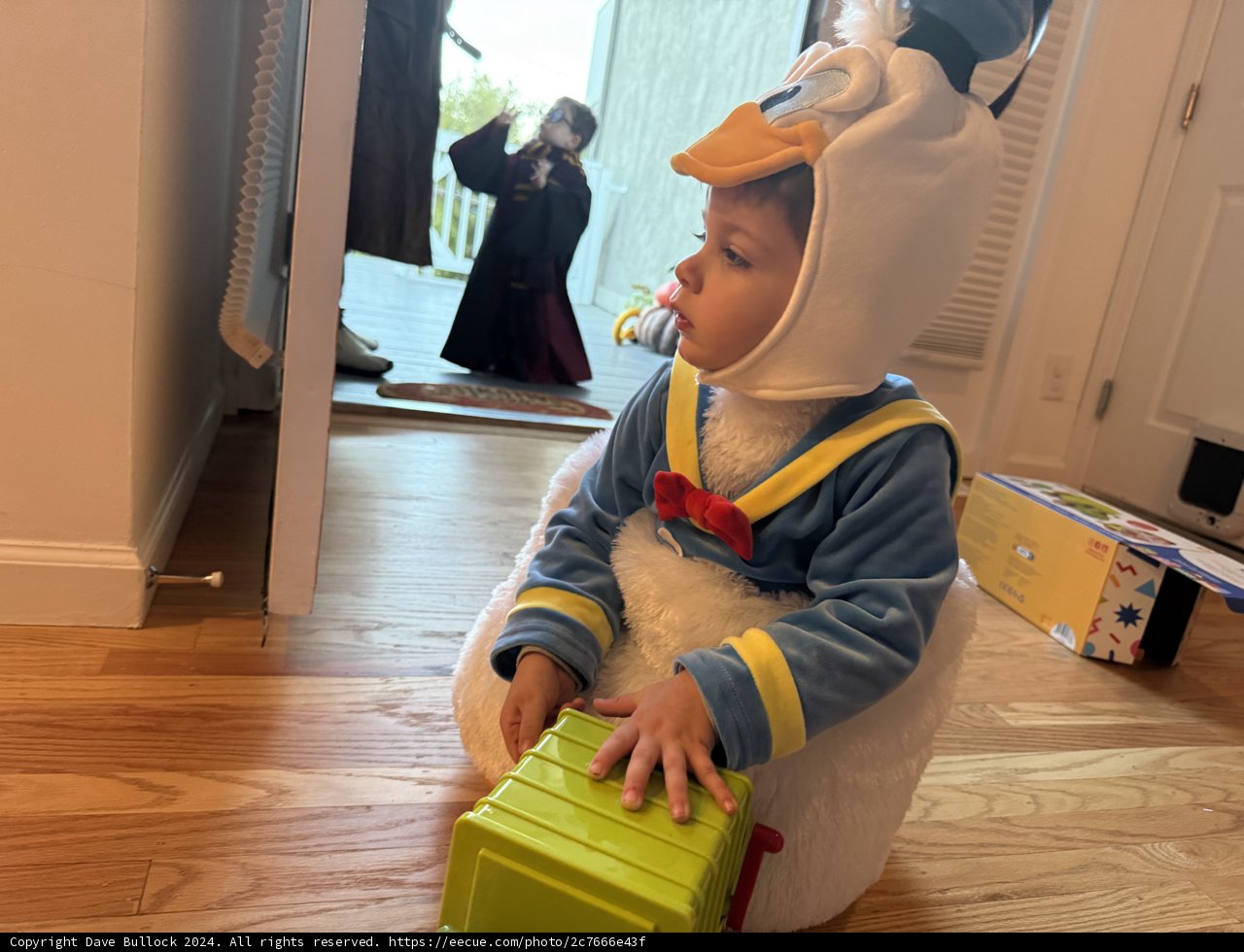 Halloween Adventures Indoors