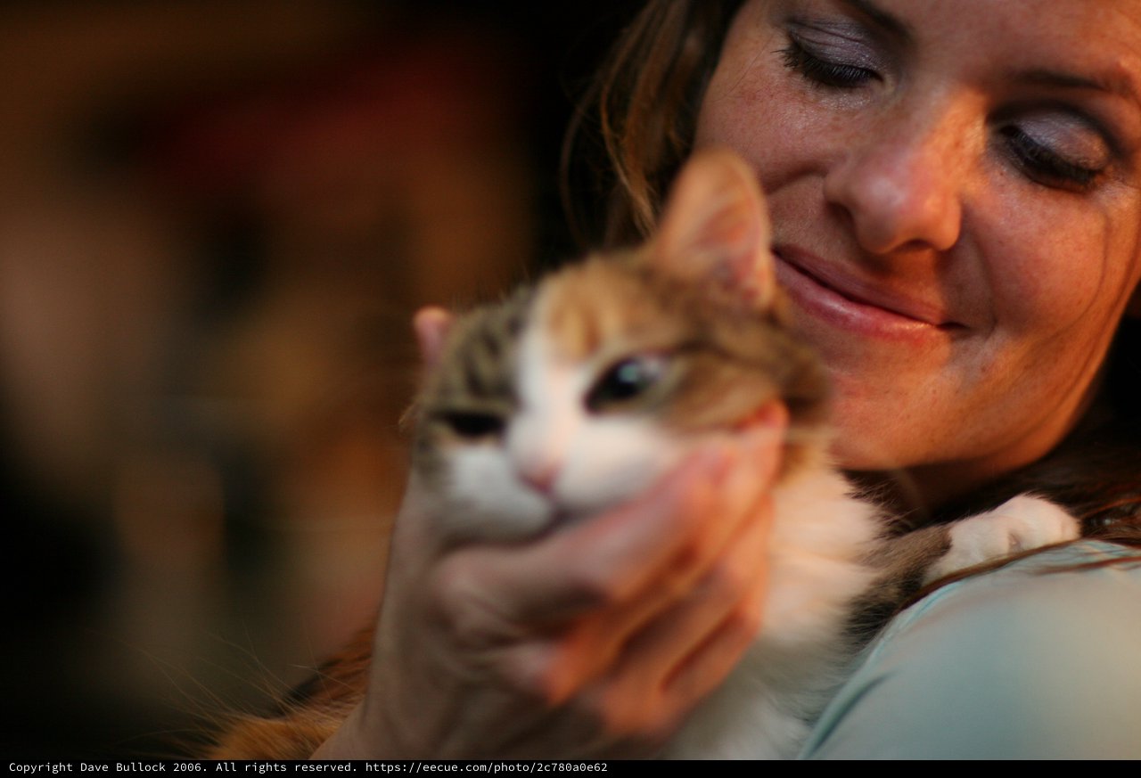 Tender Moment Between Woman and Calico Kitten