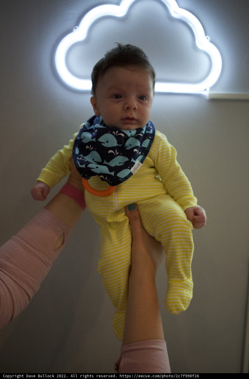 Neon Adornment: Wesley at 2 Months