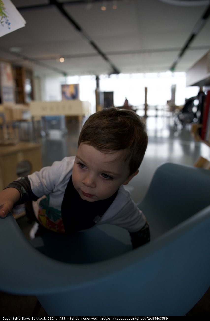 A Quiet Moment in Exploration: Wesley's Pause