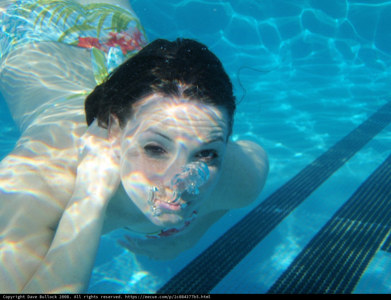 submerged serenity