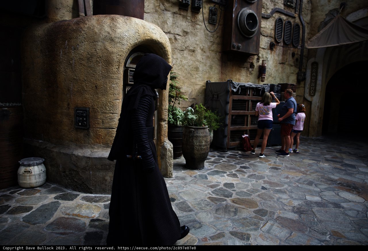 Mysterious Stroll in Disneyland