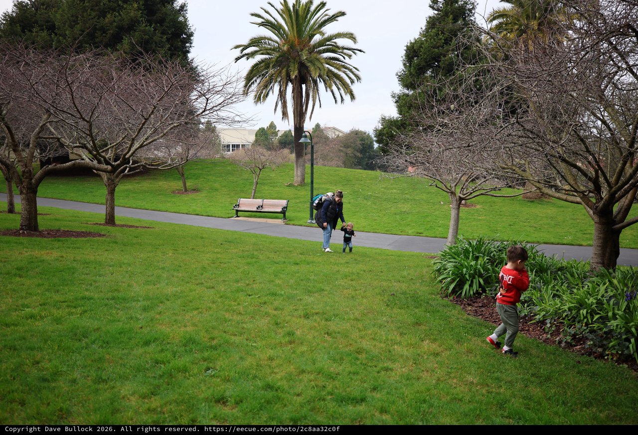 Family Park Outing on Overcast Winter Day
