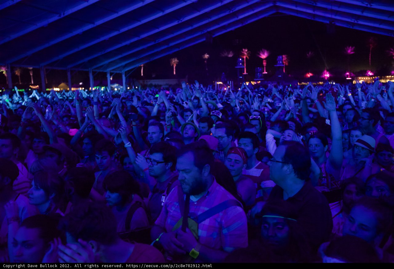 Coachella Crowd Goes Wild