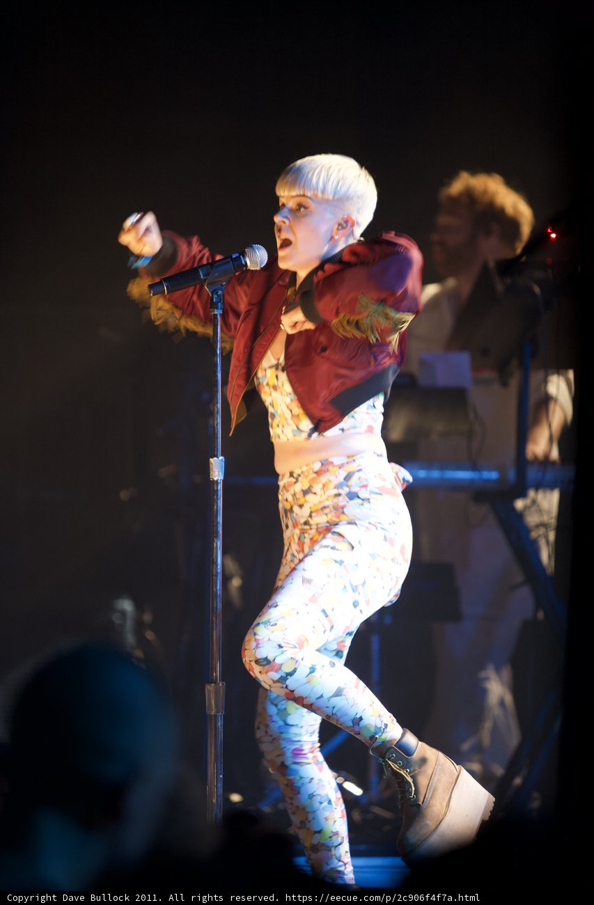 Robyn Rocks Coachella Stage