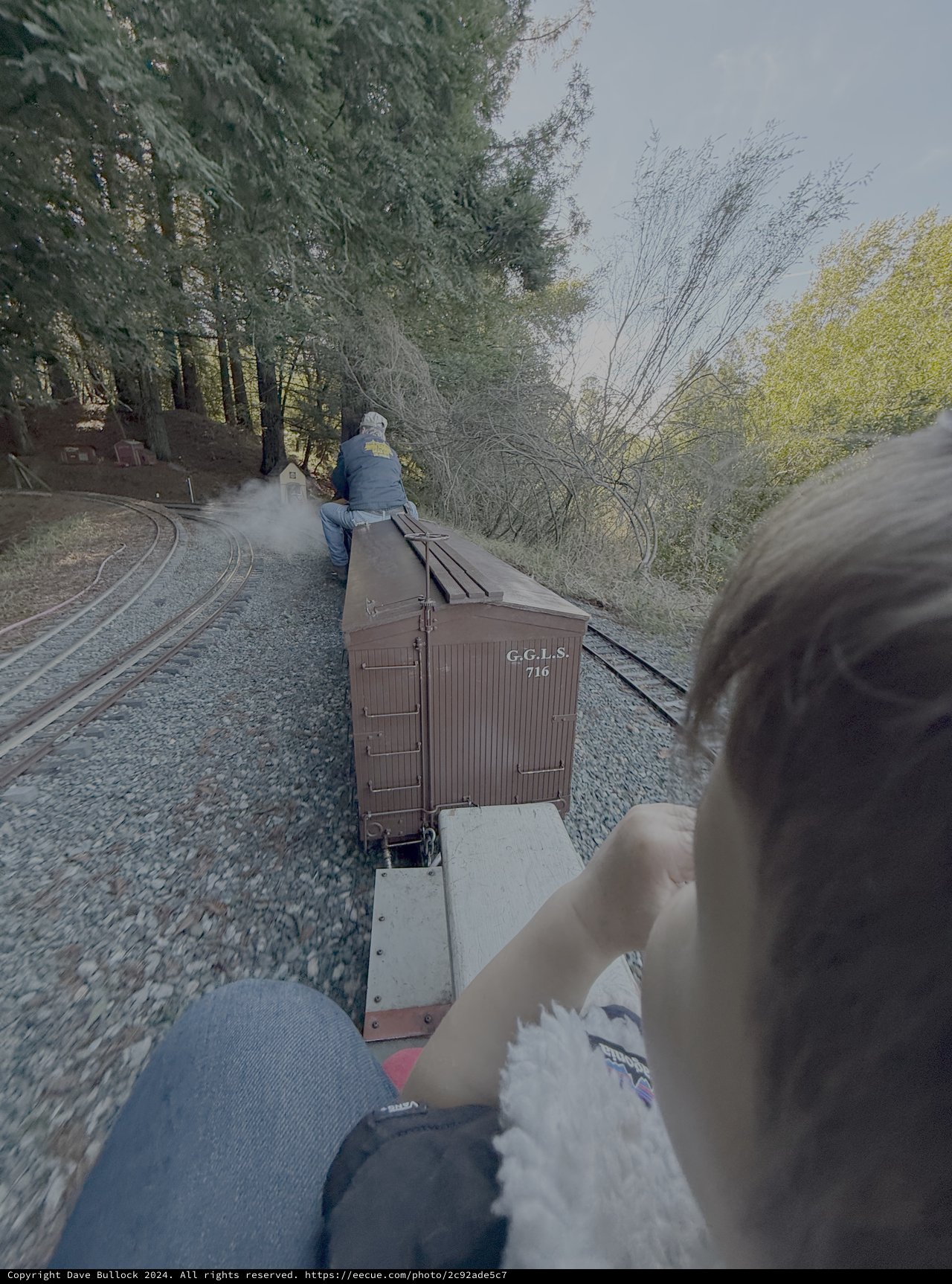 Vintage Railway Journey Through Forest Landscape