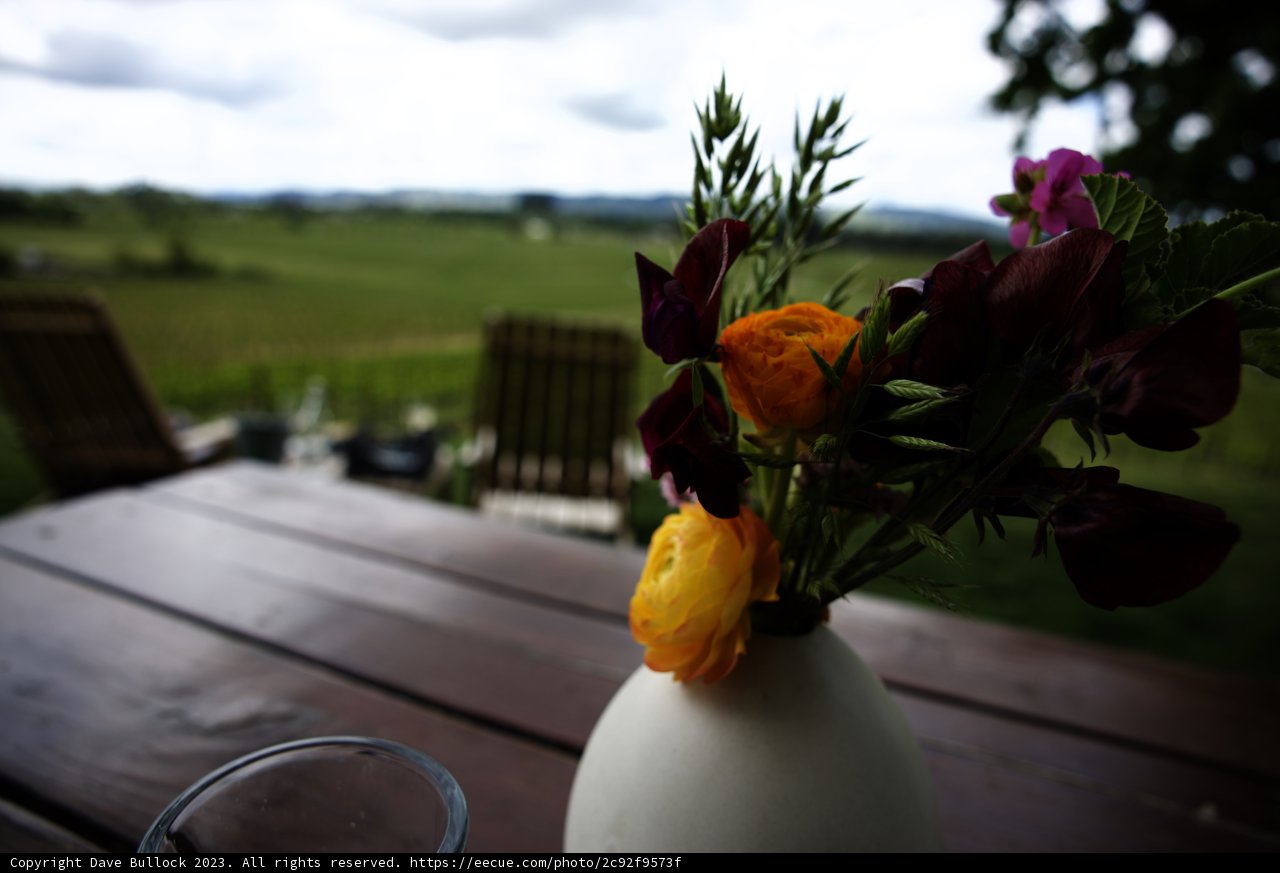 Blooms of Sonoma