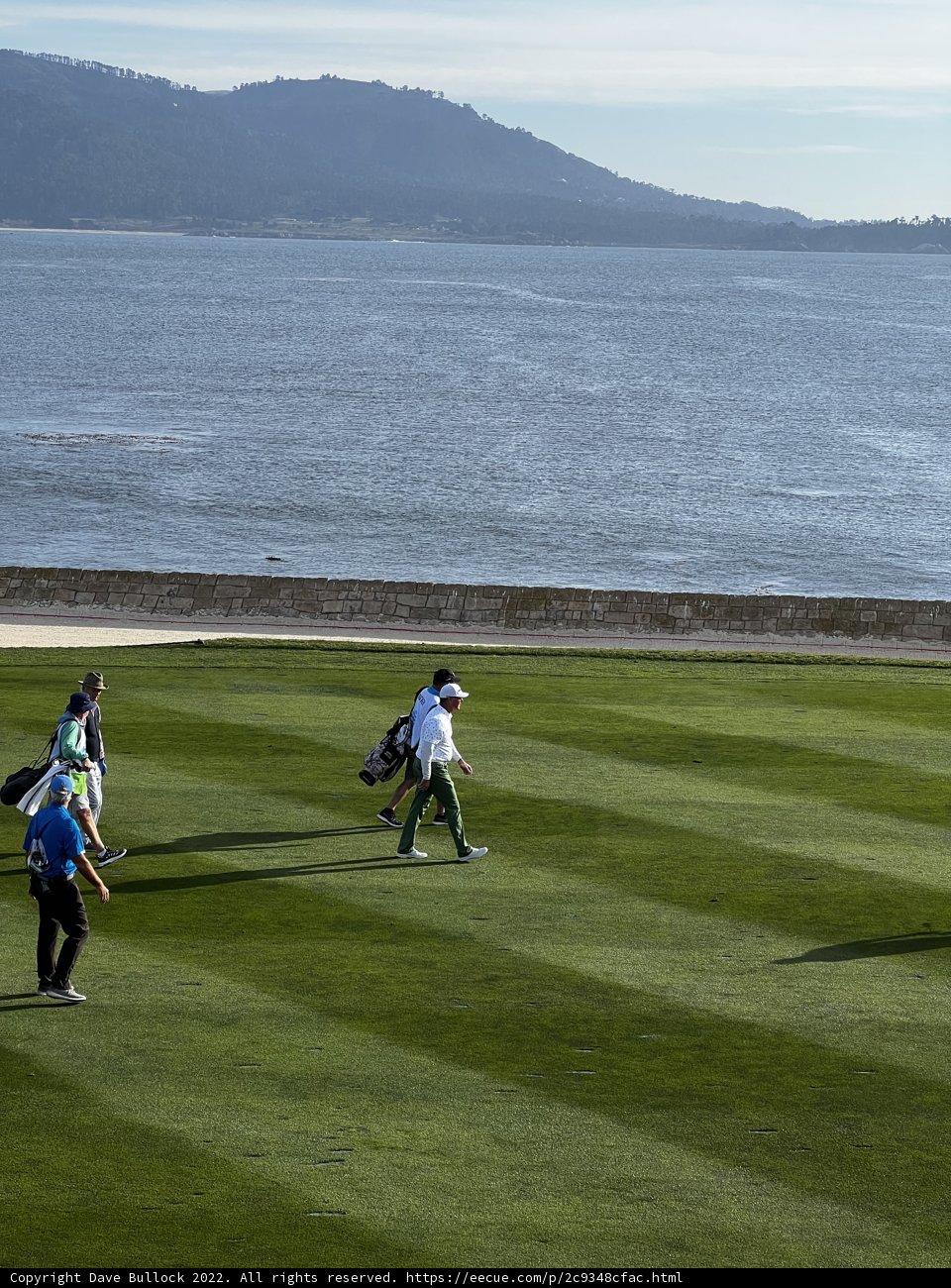 Serene Golfing by the Shore
