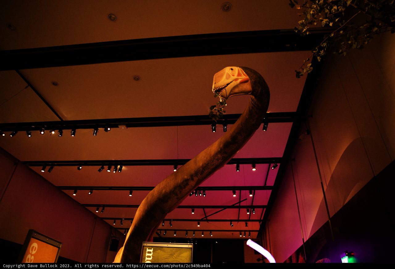Serpentine Spectacle at the California Academy of Sciences