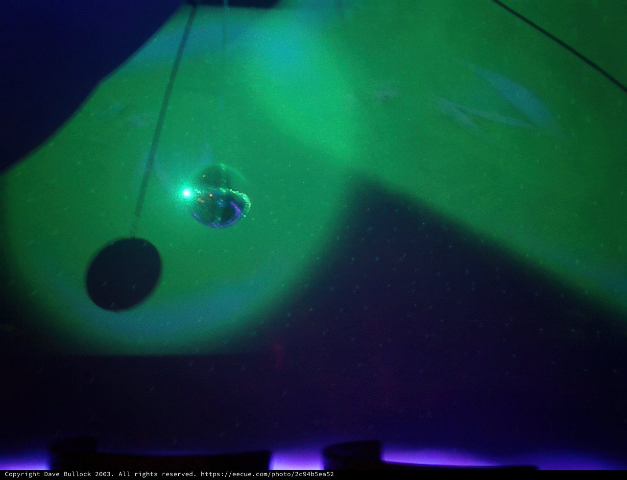 Green Disco Fever