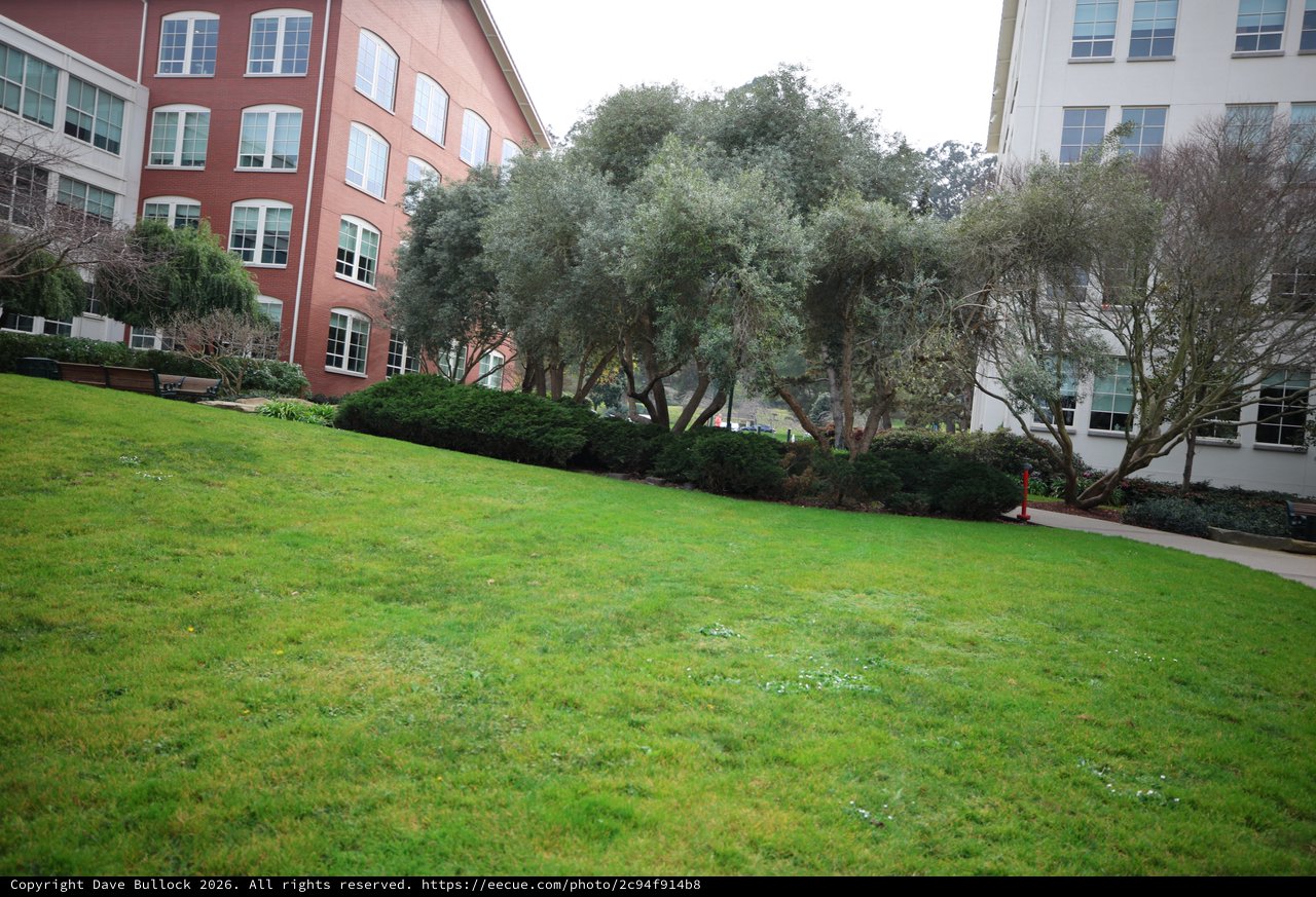 Corporate Campus Courtyard with Sloping Green Lawn