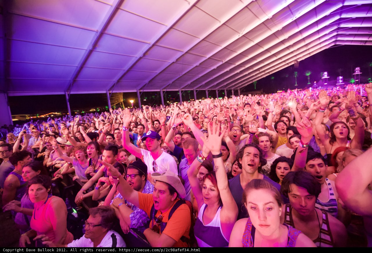 Coachella Crowd Goes Wild