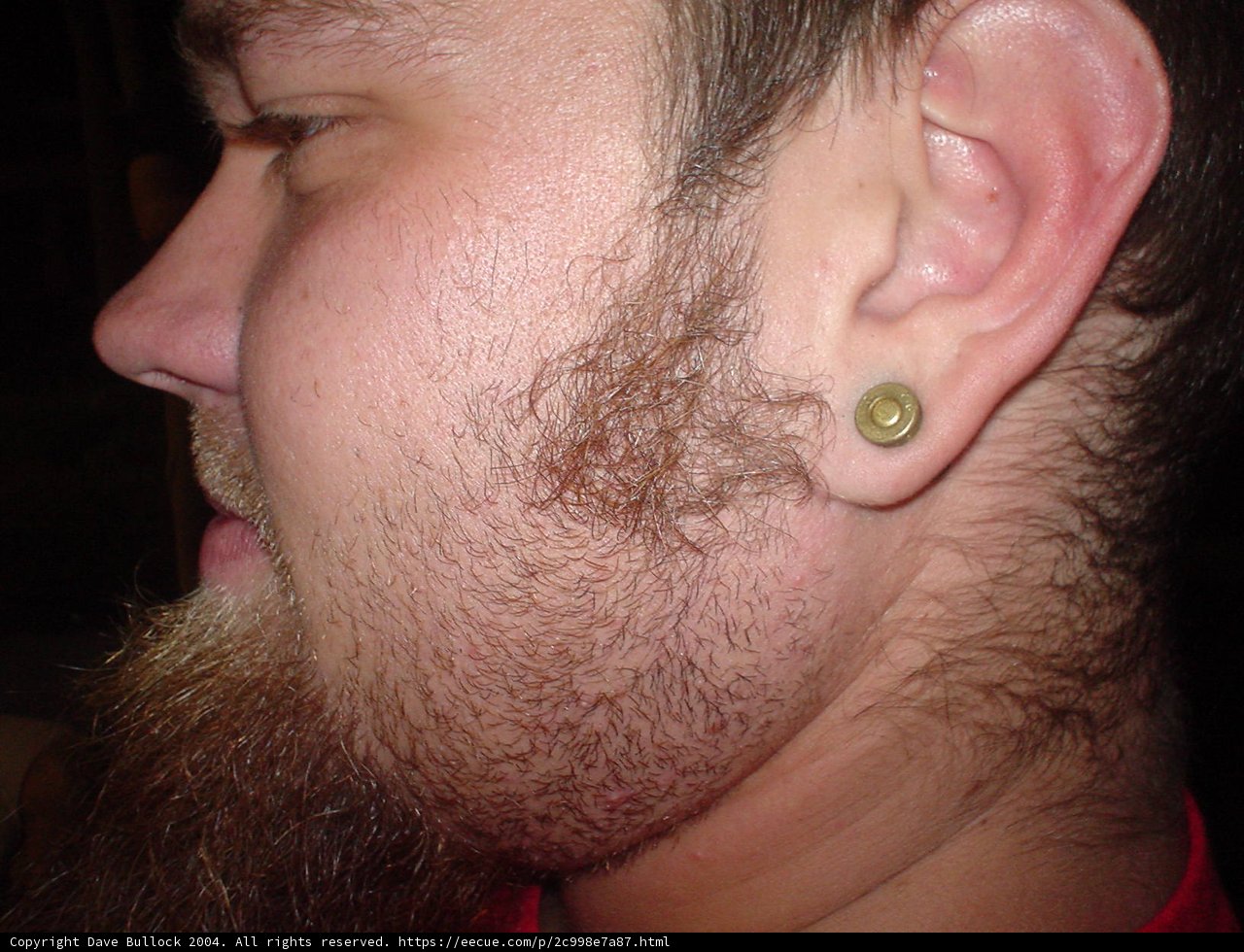 Bold Earrings and a Bushy Beard