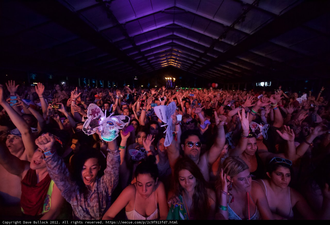Coachella 2012 Crowd in Ecstasy