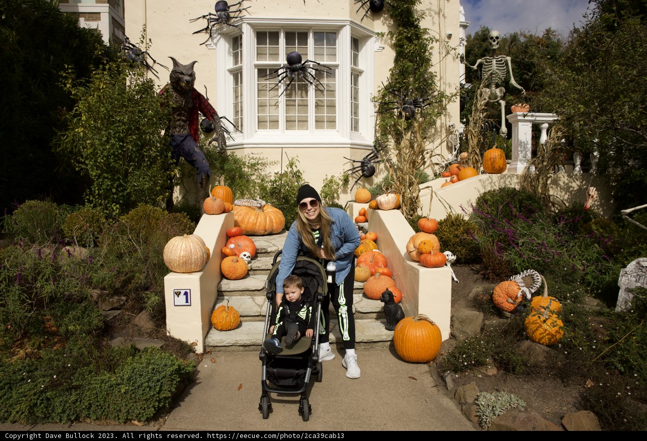Spooky San Francisco - Family Autumn Joy