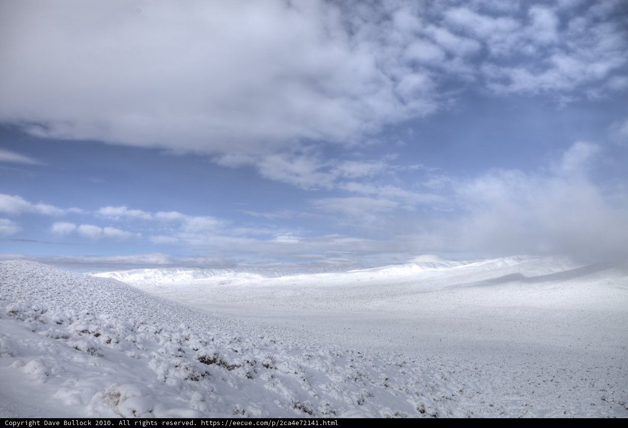 Winter Wonderland