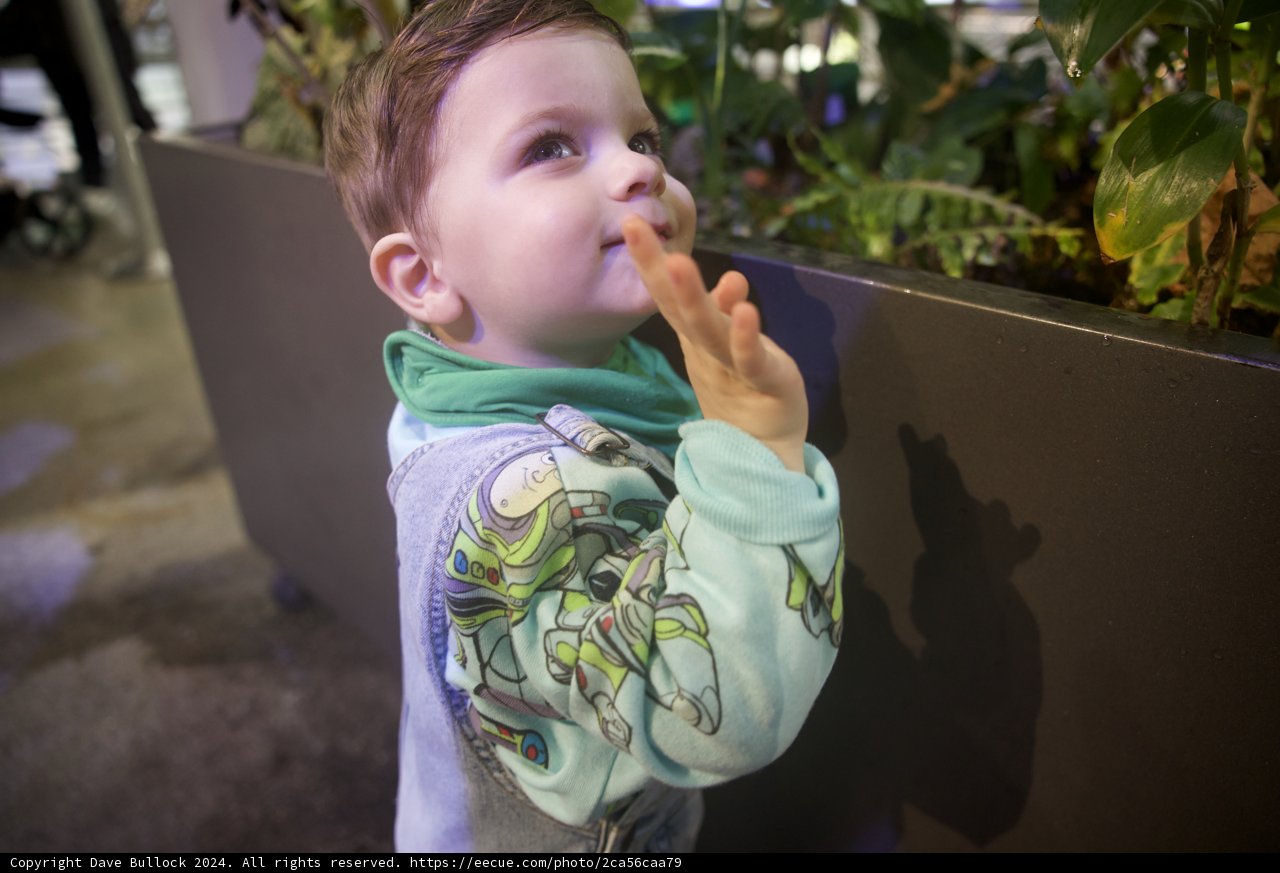 Innocence in Exploration