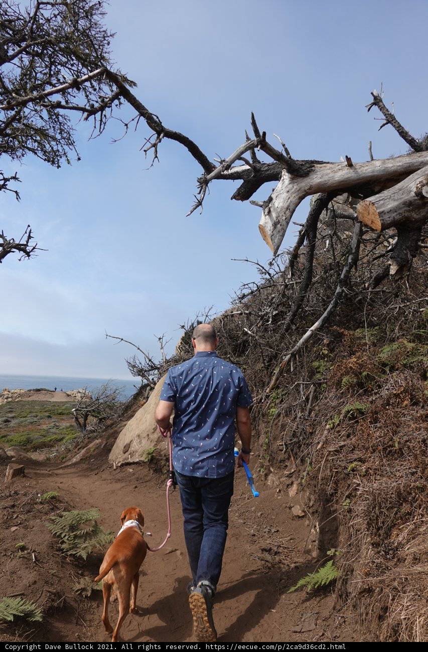 Walking in the Wilderness