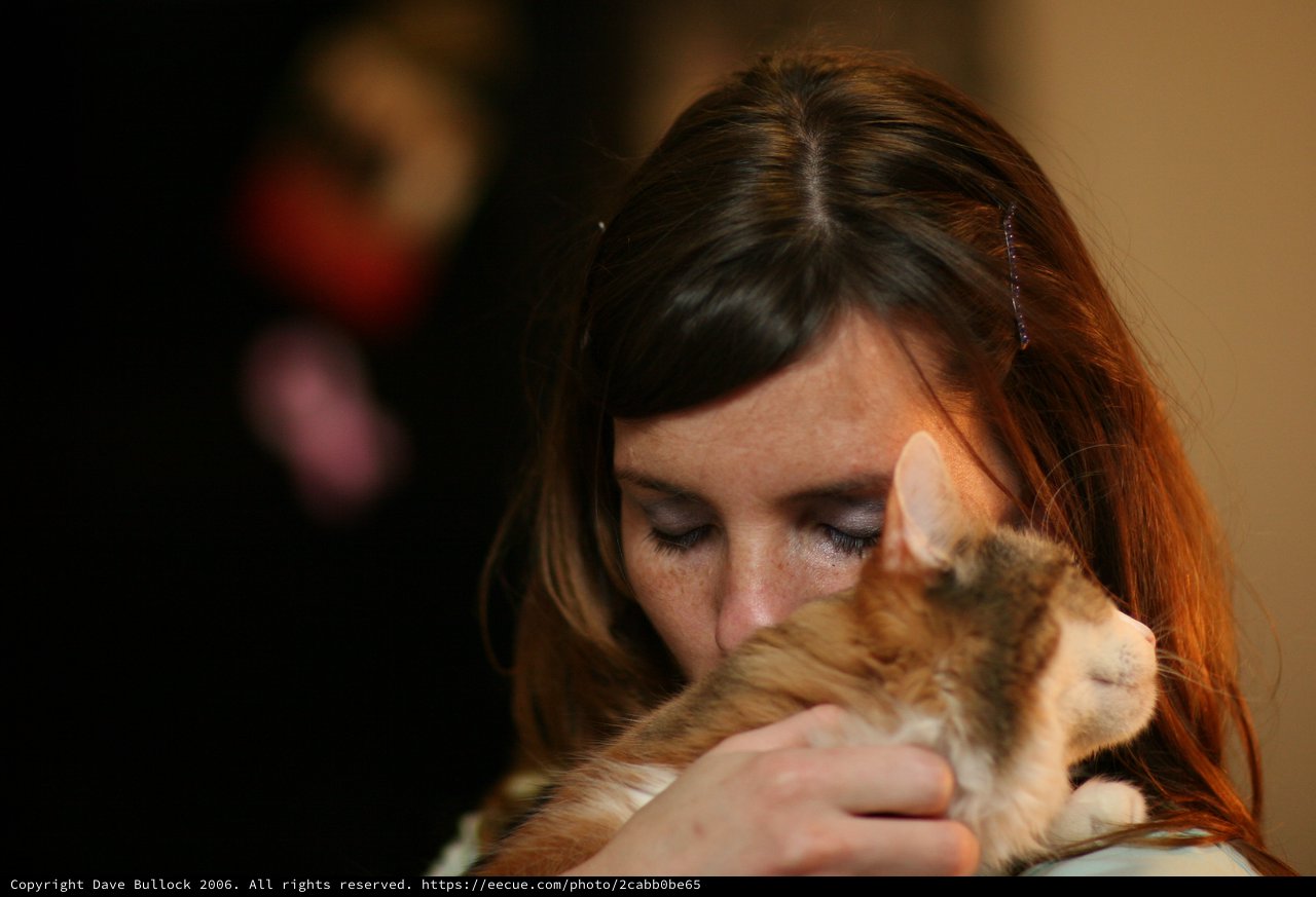 Tender Moment: Woman Embracing Ginger Kitten Lovingly